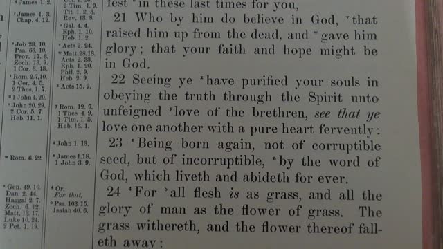 The Precious Blood