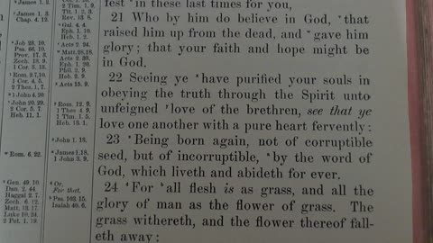 The Precious Blood