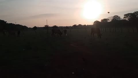 sunset in El Salvador, Central America