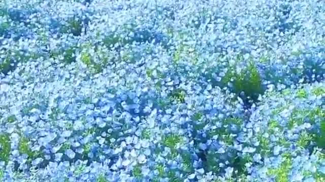 Because there is nothing you can do, let nature take its course.