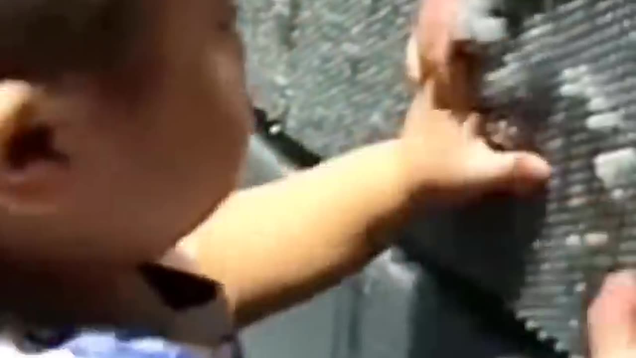 Try Not To Laugh | Compilation Video | Funny Videos Compilations