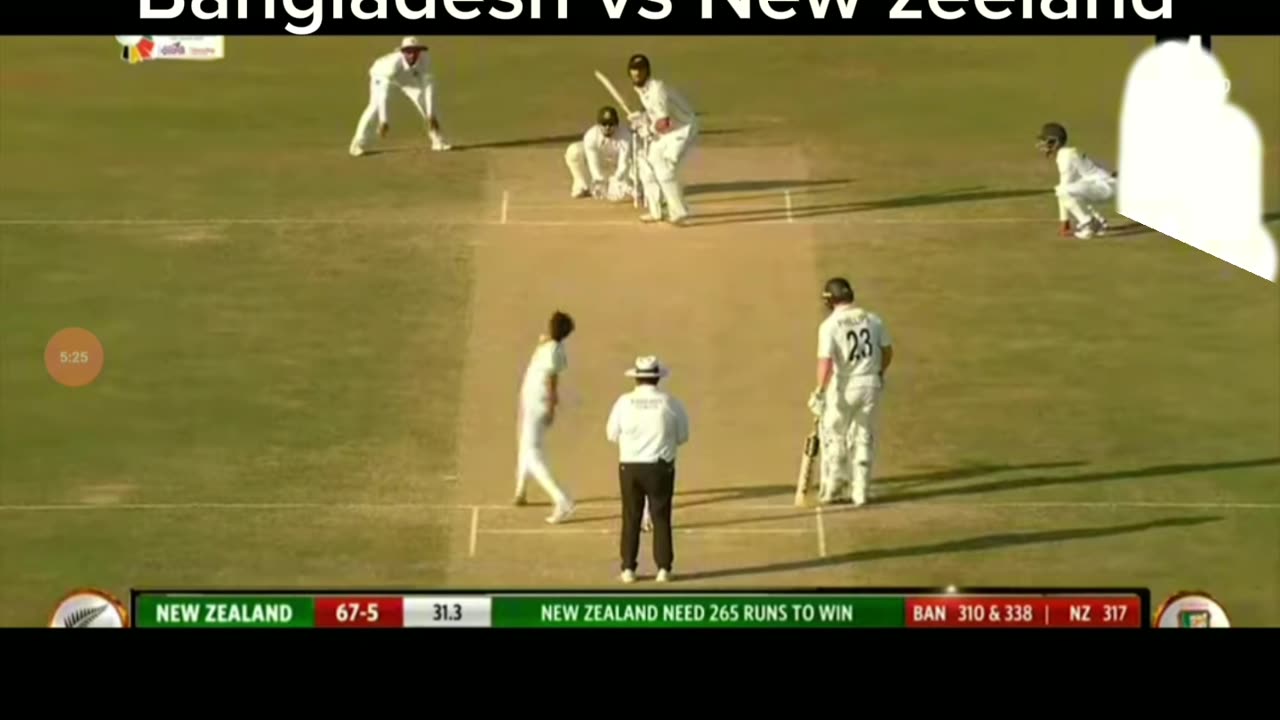 Bangladesh vs New zeeland test Match highlight