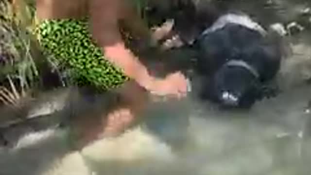 You won't believe what they've found
