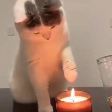 First_time_experience_with_candles