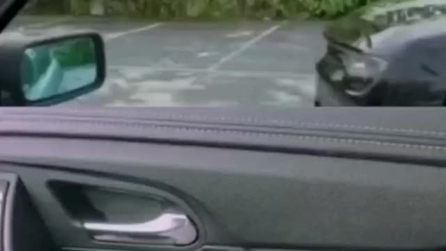 # funny videos # # comedy videos #