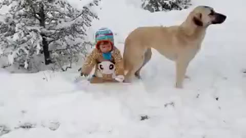 Laugh with kids and dogs