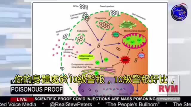 疫苗中的氧化石墨稀