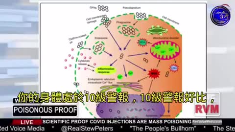 疫苗中的氧化石墨稀