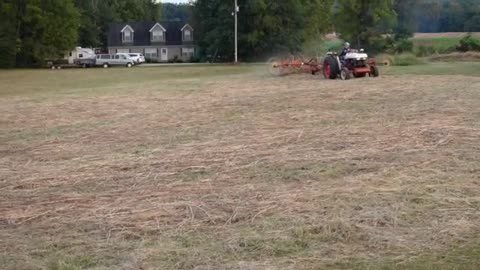 Hay Harvest For Fall Of 2024 - Cut, Raked & Rolled