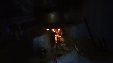 Life Art