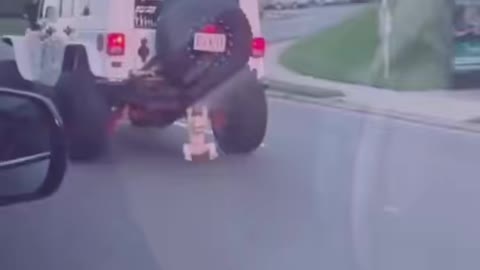 Fake baby hanging from car