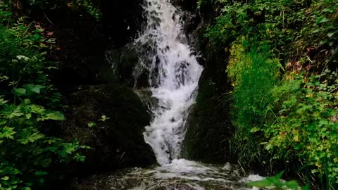 Beautiful Natural falls video