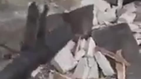 +18 DPR soldiers hiding in a collapsed building surrender