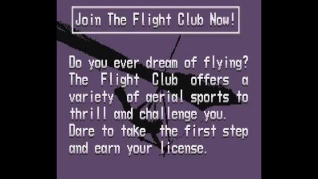 Pilotwings Retro'd