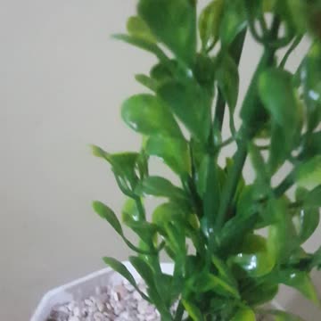 It's hand-made so cool