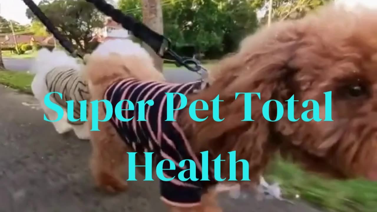 Super Pet Total Health Deliverable