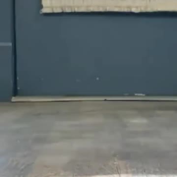 Duck runs fast like papaleguas