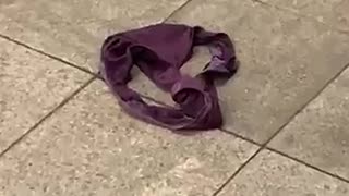 Pair of purple underwear panties on subway station floor