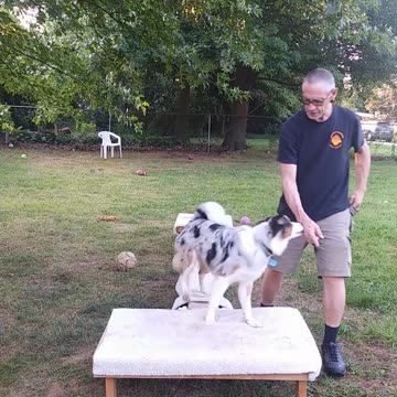 Soccer ball play with platforms and balance beams 5