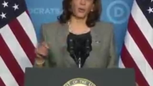 Kamala Harris emphasizes US commitment to defend NATO at DNC winter meeting