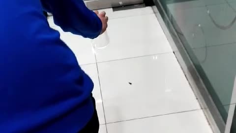 Three Korean boys catch a cockroach