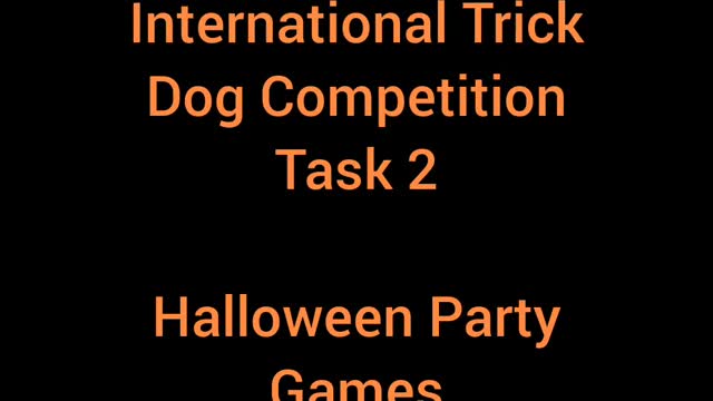 Aurora & Tindrah October 2022 International Trick Dog Competition Task 2