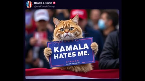 @realDonaldTrump