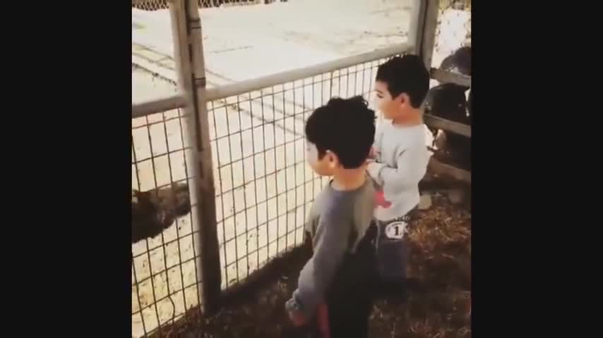 VIDEOS DE BEBES GRACIOSOS