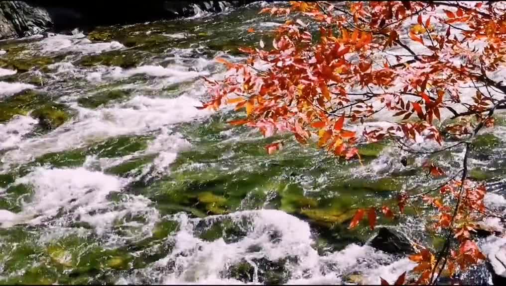 Listen to nature