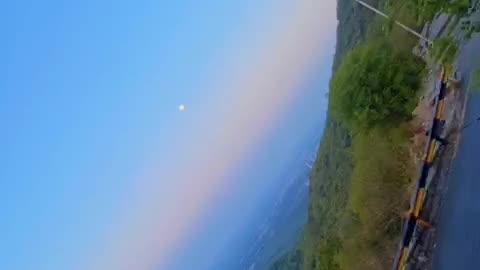Monal