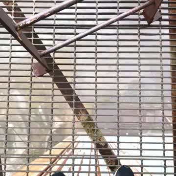 REAL LIFE CALL OF DUTY