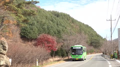 Various Autumn Scenery in Korea 4