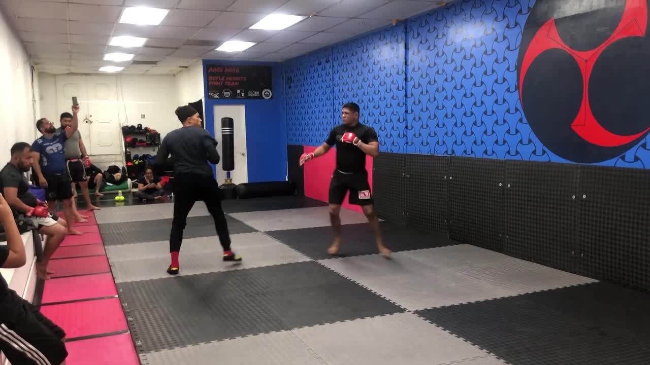 SPARRING & FUN