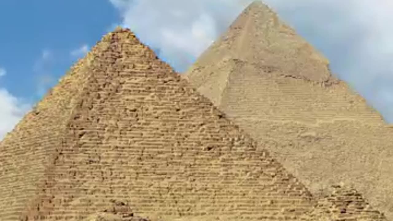 wow dog claim great pyramid