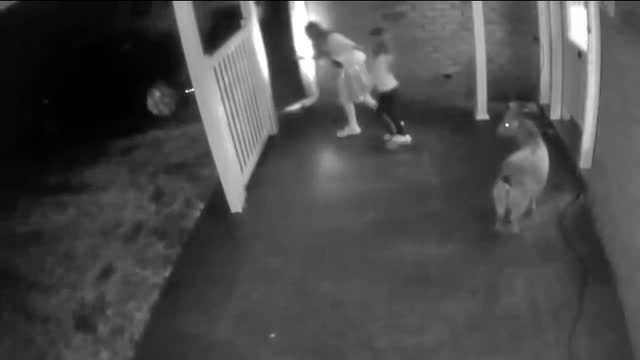 Shock in the dark 😂😂