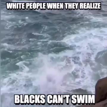 White people when they realize that Blacks can't swim 🏊🏿‍♂️⚓⛵