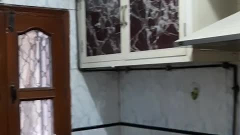 #Pitampura