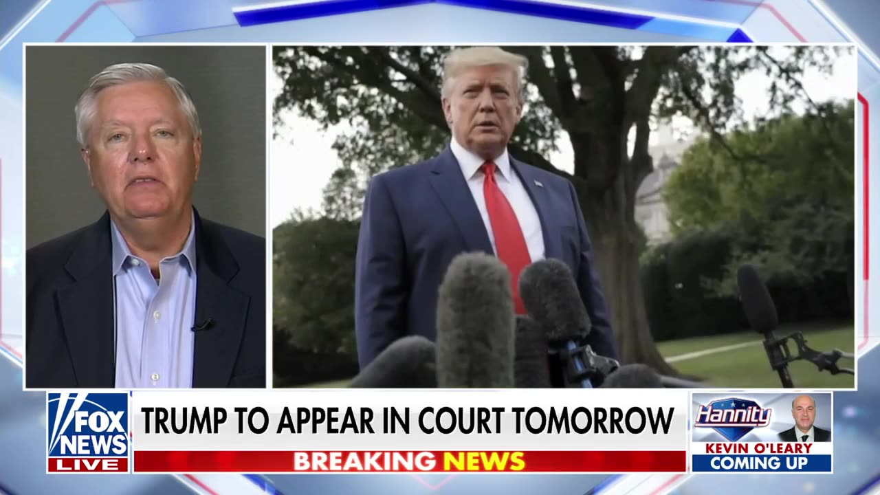 Lindsey Graham: Donald Trump is gonna 'fight like hell' and become the next president
