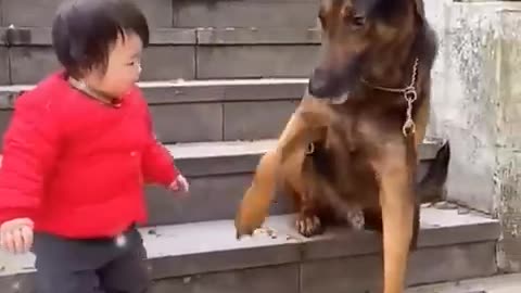 The Cutest Babysitter Ever! #cutebaby #dog #cat #cute #kitten #pets