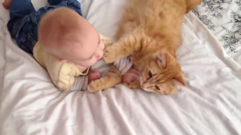 Cute Cats Meets Cute Babies for the FIRST Time 2021 Compilation