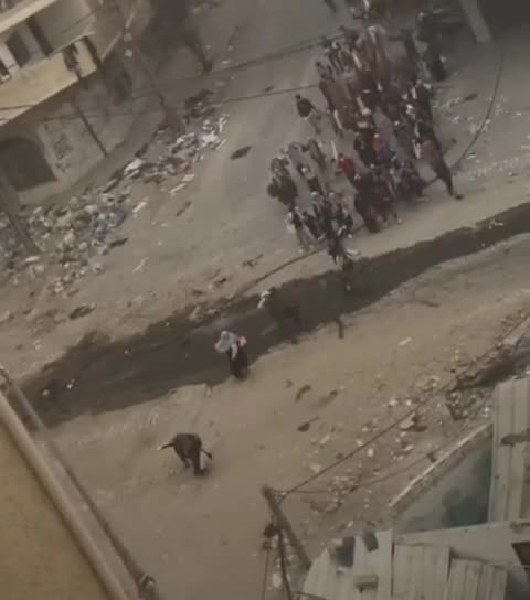 ►🚨▶◾️🇮🇱⚔️🇵🇸 Israeli army shoots a woman holding a child, waving a white flag!