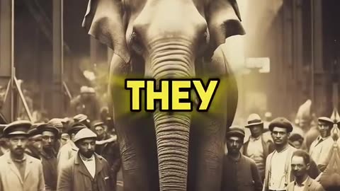 SHOCKING History Facts You Won’t Learn In School
