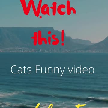 CATS Funny #short video