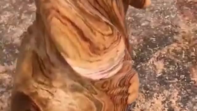 Dog of wood - Amazing techniques making fast a Dog 2021