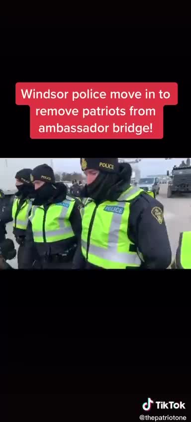 Police move in to remover protester from Ambassador Bridge Windsor Ontario
