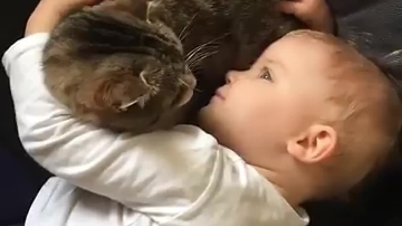 Baby And Cat’s Hilarious First Chat!