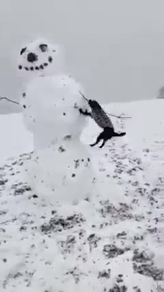 FUNNY PUPPY VS SNOWMAN
