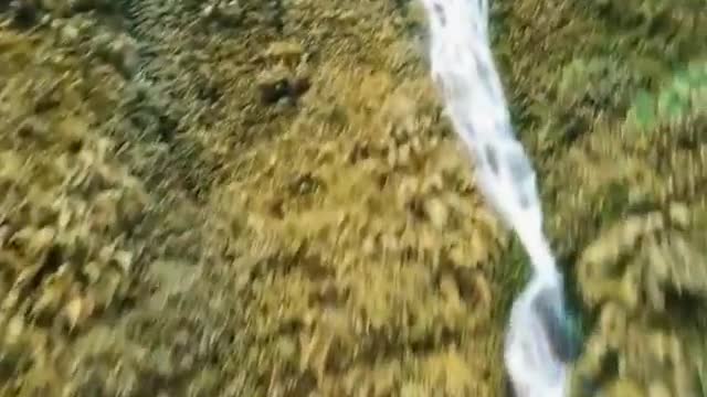 Eagle View Over Waterfall In Jungle