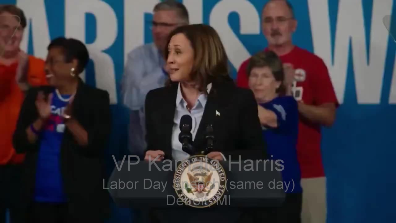 Kamala Harris - The Pander Bear