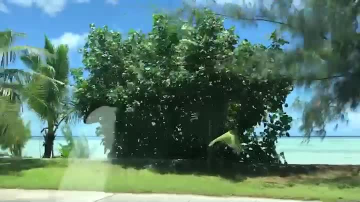Enjoy driving in Guam in the middle of summer.